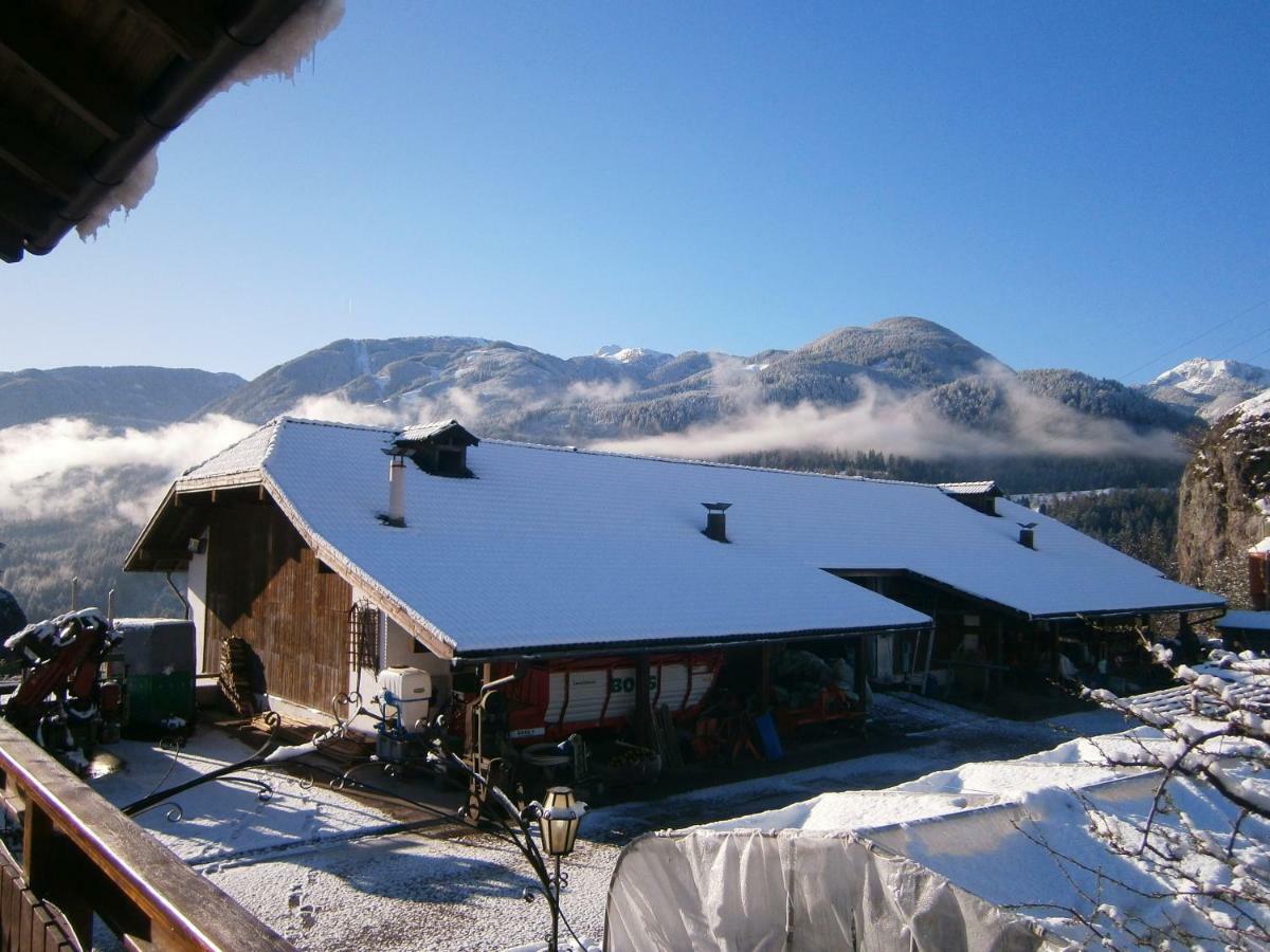 Agritur Chelodi Villa Cavalese Dış mekan fotoğraf
